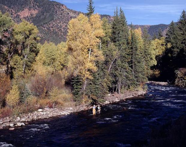 Trout Fishing in Colorado's Rushing Crystal River